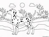 Dalmatian Kolorowanki Druku Piesek Kotek Wydrukuj Kolorowankę sketch template