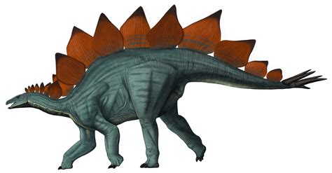 stegosaurus ungulates dinosaur national monument  national park