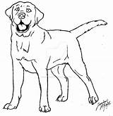 Labrador Coloring Pages Lab Chocolate Color Canis Simensis Dog Deviantart Drawings Printable Getcolorings Print Colorings sketch template