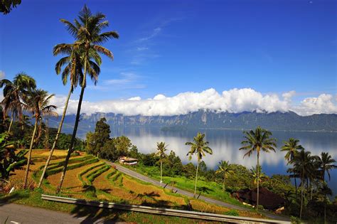 8 Best Indonesia Rice Terraces Authentic Indonesia Blog