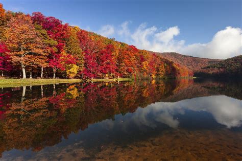 A Guide To Pennsylvania S Fall Foliage Willow Tree And