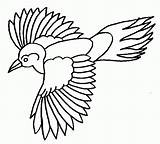 Aves Pajaros Ave Alas Plumas Animais Pintarcolorir Exóticas Algo sketch template
