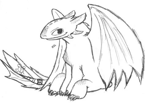 train  dragon coloring pages   toothless dragon