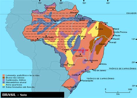 geo conceição tipos de solos do brasil