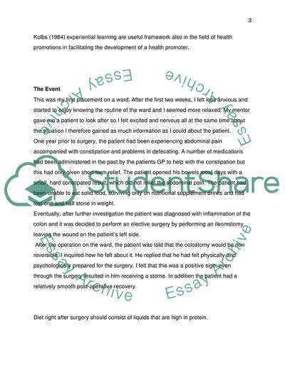 school essay gibbs reflection essay  nursing