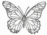 Butterfly Coloring Pages Drawing Simple Butterflies Flower Sketch Printable Realistic Template Adult Small Drawings Flowers Print Color Chocolate Adults Getdrawings sketch template