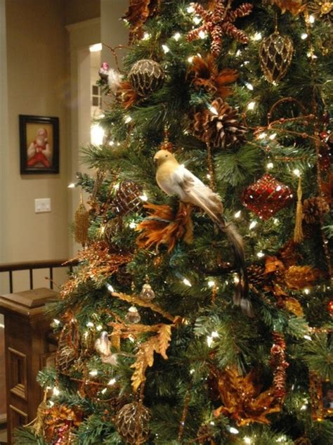 bird   christmas tree pictures   images  facebook tumblr pinterest  twitter