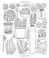 Botanicals Customize sketch template