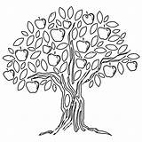 Tree Coloring Apple Pages Fruit Colouring Book sketch template
