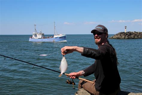 angeln  der region hvide sande ringkobing und thyboron fishmaps