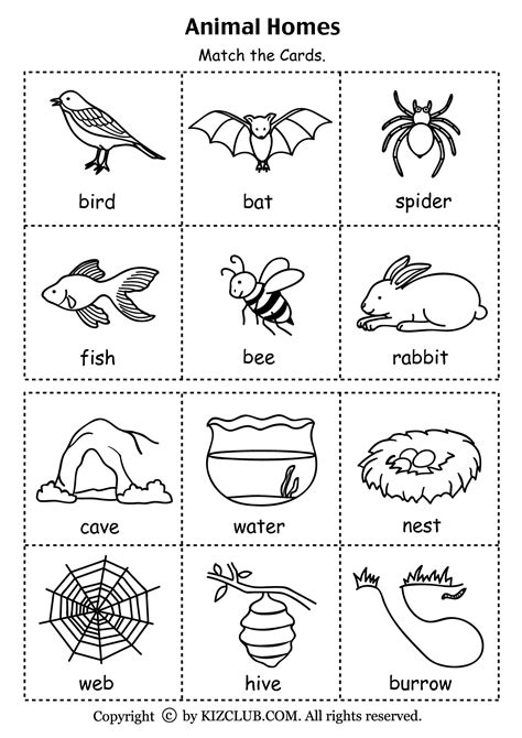 classifying animals habitat worksheet animal worksheet   animal
