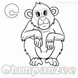 Coloring Chimpanzee Coloringfolder Chimpanzees sketch template