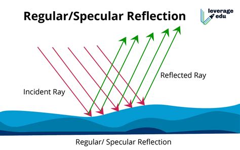 reflection  light definition types laws  leverage