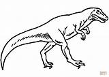 Allosaurus Dino Colorir Ausmalbilder Dinossauro Dinos Alosaurio Ausmalen Malvorlagen Drawing Jurassic sketch template
