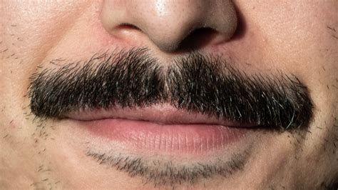 What Your Mustache Says About You The New York Times