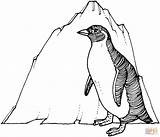 Pinguin Pingouin Penguins Pinguim Ausmalbilder Coloriage Imprimir Ausmalbild Colorir Mewarnai Eisberg Dessin Pinguini Pinguino Albumdecoloriages Iceberg Sedang Anaknya Bingung Mencari sketch template