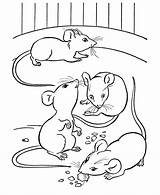 Coloring Pages Mice Mouse Farm Printable Animals Animal Kids Cheese Color Colouring Eating Books Cat Drawing Pet Print Templates Book sketch template