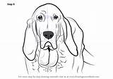 Bloodhound Drawingtutorials101 sketch template