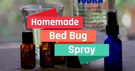How To Make Homemade Bed Bug Spray For House Bed Bug Spray Bed Bugs