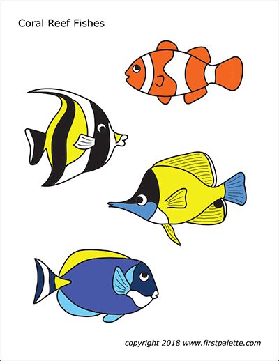 printable tropical fish coloring pages kamalche