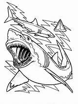 Shark Coloring Pages Sharks Great Printable Drawing Color Teeth Bull Megalodon Sheet Bulls Print Chicago Kids Clark Cute Anatomy Outline sketch template