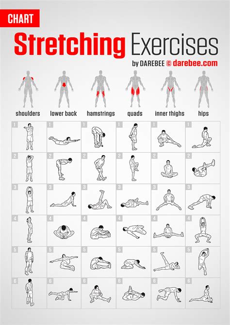 stretching exercises chart  darebee darebee fitness workout