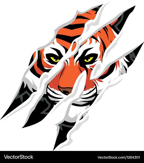 tiger claw mark royalty  vector image vectorstock