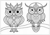 Coloring Pages Owl Choose Board sketch template