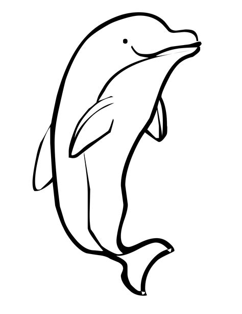 cute dolphin coloring pages  getdrawings