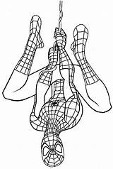 Coloring Pages Spiderman Printable Filminspector sketch template