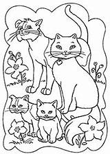 Kucing Katzen Haiwan Mewarna Kertas Kidipage Tiere Boleh Cetak sketch template