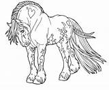 Horse Coloring Draft Pages Popular Gypsy sketch template