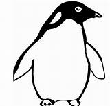 Pinguin Penguin Coloring Pages Cliparts Clipart Penguins Animated Animals Gif Drawing Gifs Categories Similar sketch template