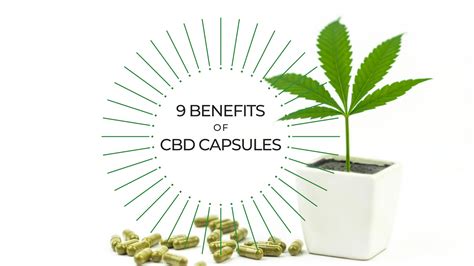 9 benefits of cbd capsules kushca