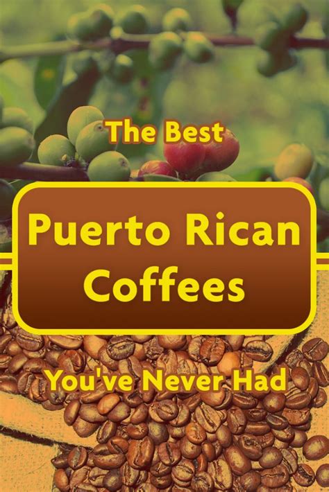 the best puerto rican coffees you ve never had the budget barista