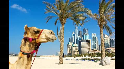 time grand plaza hotel  dubai dubai vereinigte arabische emirate bewertung und erfahrungen