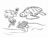 Coloring Pages Turtle Sea Turtles Printable Kids Animal Nemo Color Finding Book Print Rocks Getdrawings Bestcoloringpagesforkids Getcolorings sketch template