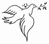 Coloring Dove Peace sketch template