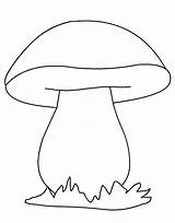 Mushroom Mushrooms Funghi Fungi Coloringpagesfortoddlers Modelli Disegnare Acorn Porcini Disegno Artigianato Mosaico Strofinacci Opere sketch template