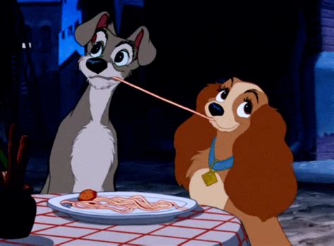 lady and the tramp love find and share on giphy