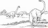 Brachiosaurus Dinosaur Dinosaurs Colorare Brachiosauro Disegni Lago Ausmalbild Barosaurus Gallimimus Jurassic Ausdrucken Dinosauri Long Preschool sketch template