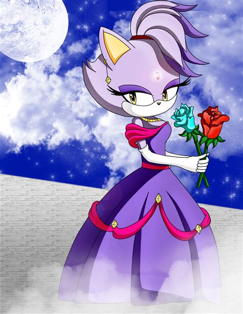 beautiful blaze blaze  cat photo  fanpop