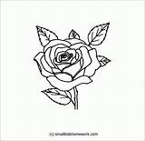 Rose Outline Coloring Flower Interesting Facts Print Coloringhome sketch template