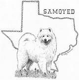 Coloring Samoyeds Book sketch template
