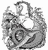 Kelpie Hippocampus Mythological Mythical Seahorse Creatures Uw360 Hippocamp Myth sketch template