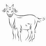 Goat Coloring Pages Cartoon Drawing Ink Line Kids Goats Momjunction Printable Toddler Cute sketch template