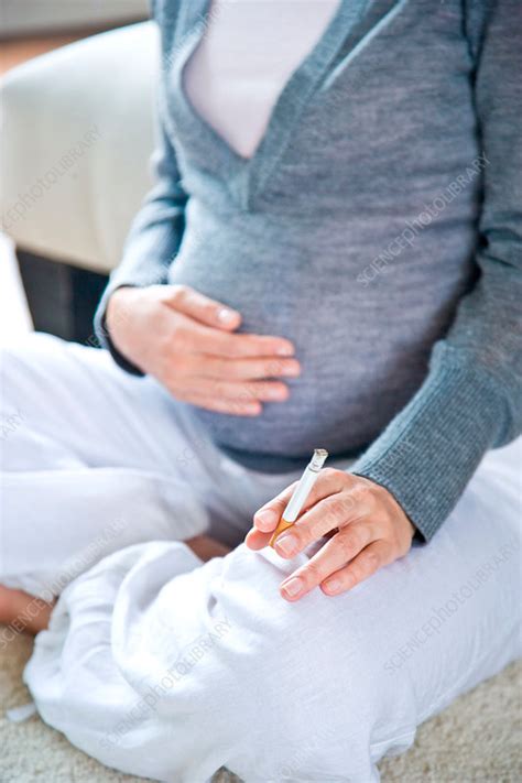 Pregnant Woman Smoking Stock Image C031 2570 Science Photo Library