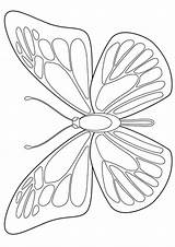 Butterfly Morpho Colorear Momjunction Mariposas Borboleta Borboletas Colorear24 Acessar sketch template