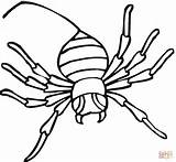 Spider Coloring Pages Printable Widow Kids Clipart sketch template