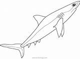 Shark Coloring Pages Animals Sea Easy Printable Great Outline Kids Info Xcolorings 940px 37k 704px Resolution Type  Size Jpeg sketch template